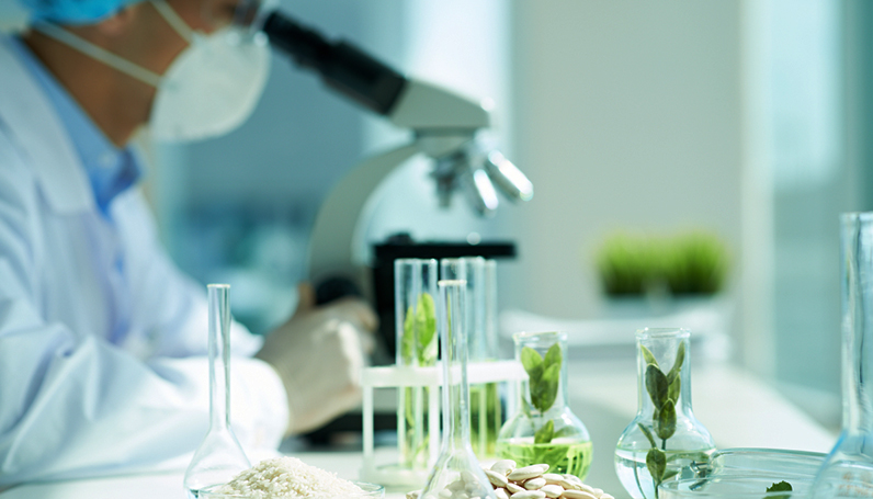 9001诚信金沙(中国)品牌公司