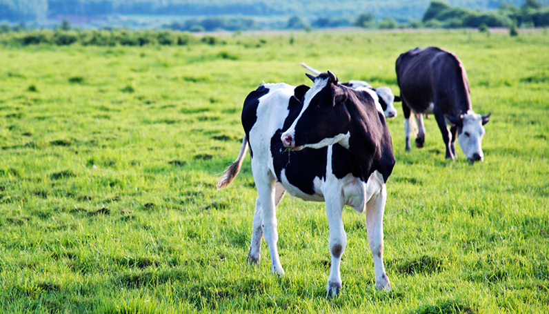 9001诚信金沙(中国)品牌公司