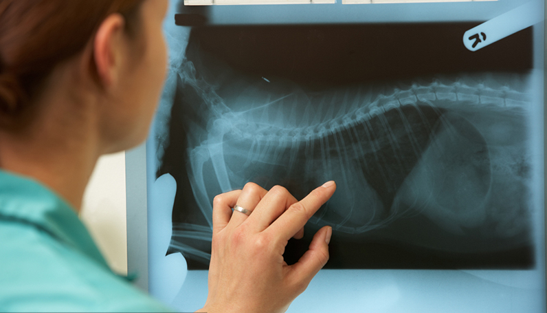 9001诚信金沙(中国)品牌公司