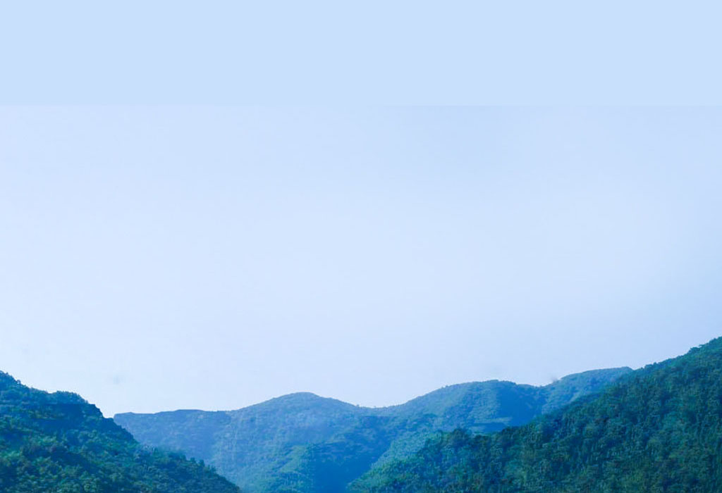 9001诚信金沙(中国)品牌公司